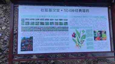 中国中医药领路人 —— 蒙义德